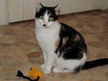 Bild von Fienchen