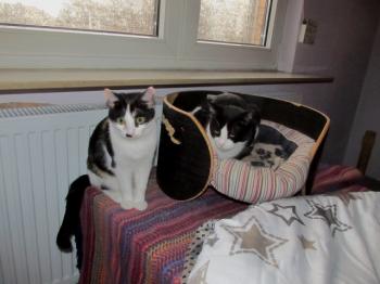 Bild von Fienchen
