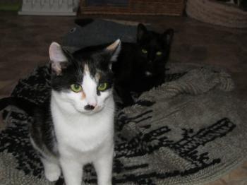 Bild von Fienchen