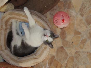 Bild von Jacky