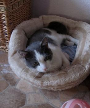 Bild von Jacky