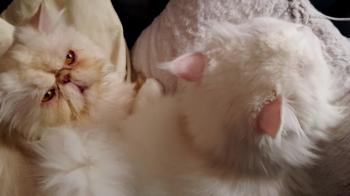 Bild von Pumuckl