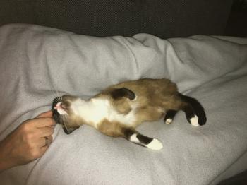 Bild von Gina