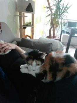 Picasa Bild von Picasa