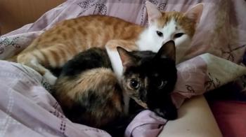 Fifi Bild von Fifi