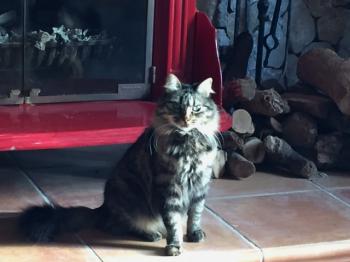 Bild von Tami