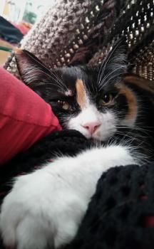 Zulema Bild von Zulema
