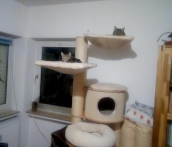 Mesina Bild von Mesina