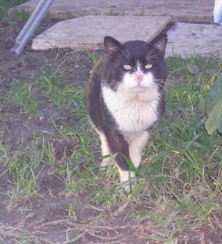 Riley Bild von Riley