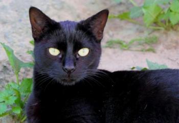 Thabo Bild von Thabo