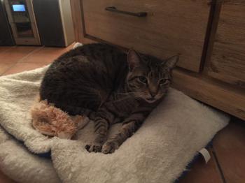 Bild von Leila