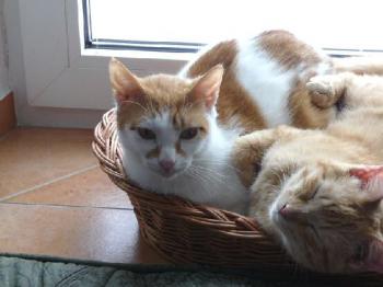 Romy und Bastian Bild von Bastian