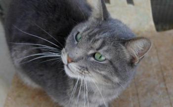 Pablo Bild von Pablo
