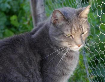 Pablo Bild von Pablo