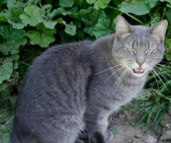 Pablo Bild von Pablo