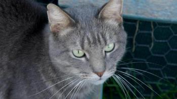 Pablo Bild von Pablo
