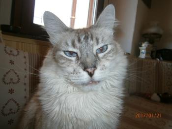 Bild von Sammy