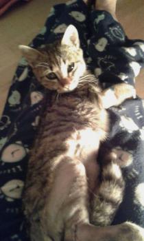 Leo Bild von Leo