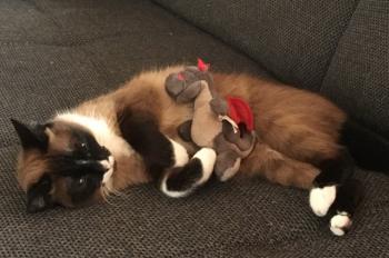 Bild von Gina