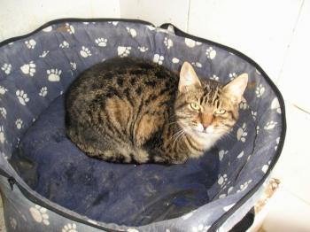 Luci Bild von Max