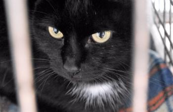 Bild von Sally
