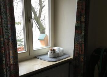 Bild von Lutessa