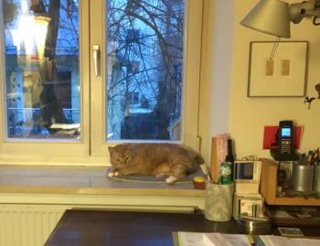 Mabel Bild von Mabel