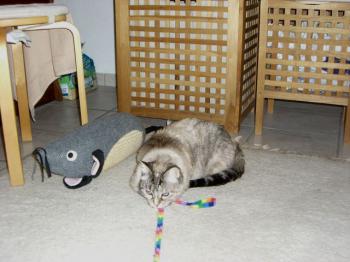 Bety Bild von Bety