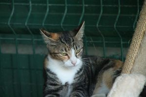 Georgina Bild von Georgina