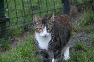 Georgina Bild von Georgina