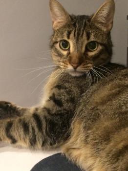 Lenny Bild von Lenny