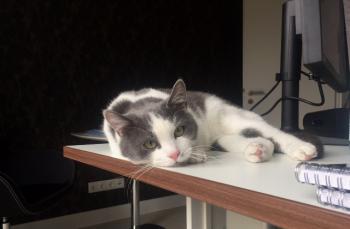 Bild von Jacky