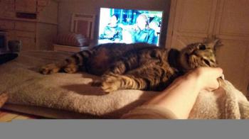 Bild von Starbuck