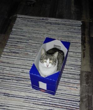 Isa Bild von Isa