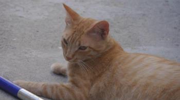 Bild von Neila