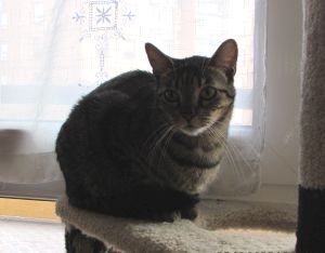 Bild von Pompeyito