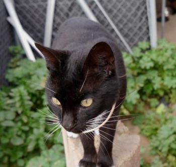 Auxi Bild von Auxi