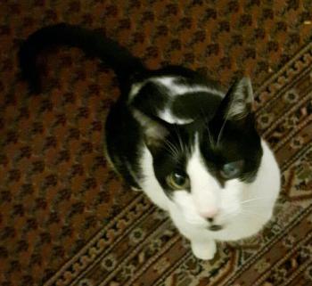 Pablo Bild von Pablo