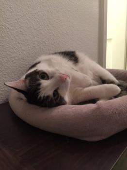 Boni Bild von Boni