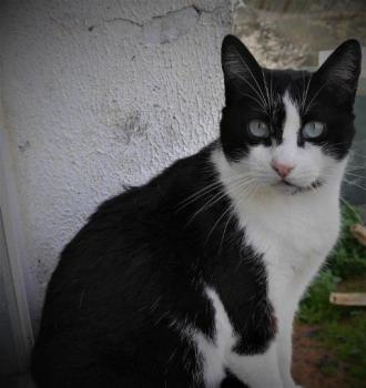 Fritzi Bild von Fritzi