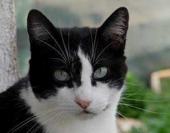 Fritzi Bild von Fritzi