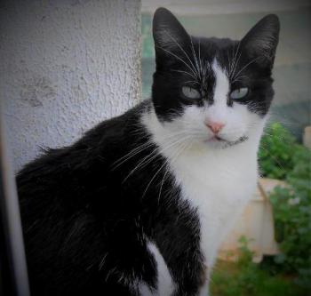 Fritzi Bild von Fritzi
