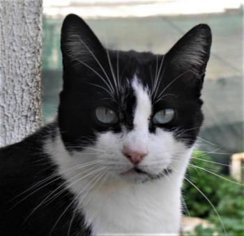Fritzi Bild von Fritzi