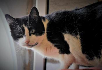 Fritzi Bild von Fritzi