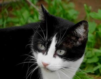 Fritzi Bild von Fritzi