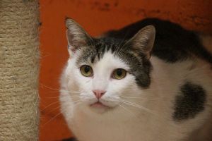 Juan Bild von Juan