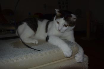 Ricardo Bild von Ricardo