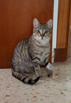 Leo Bild von Leo