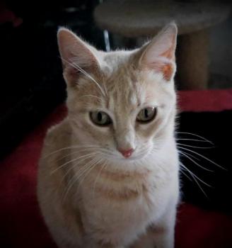 Bild von Yuki