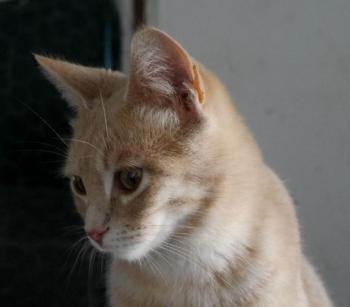 Bild von Yuki